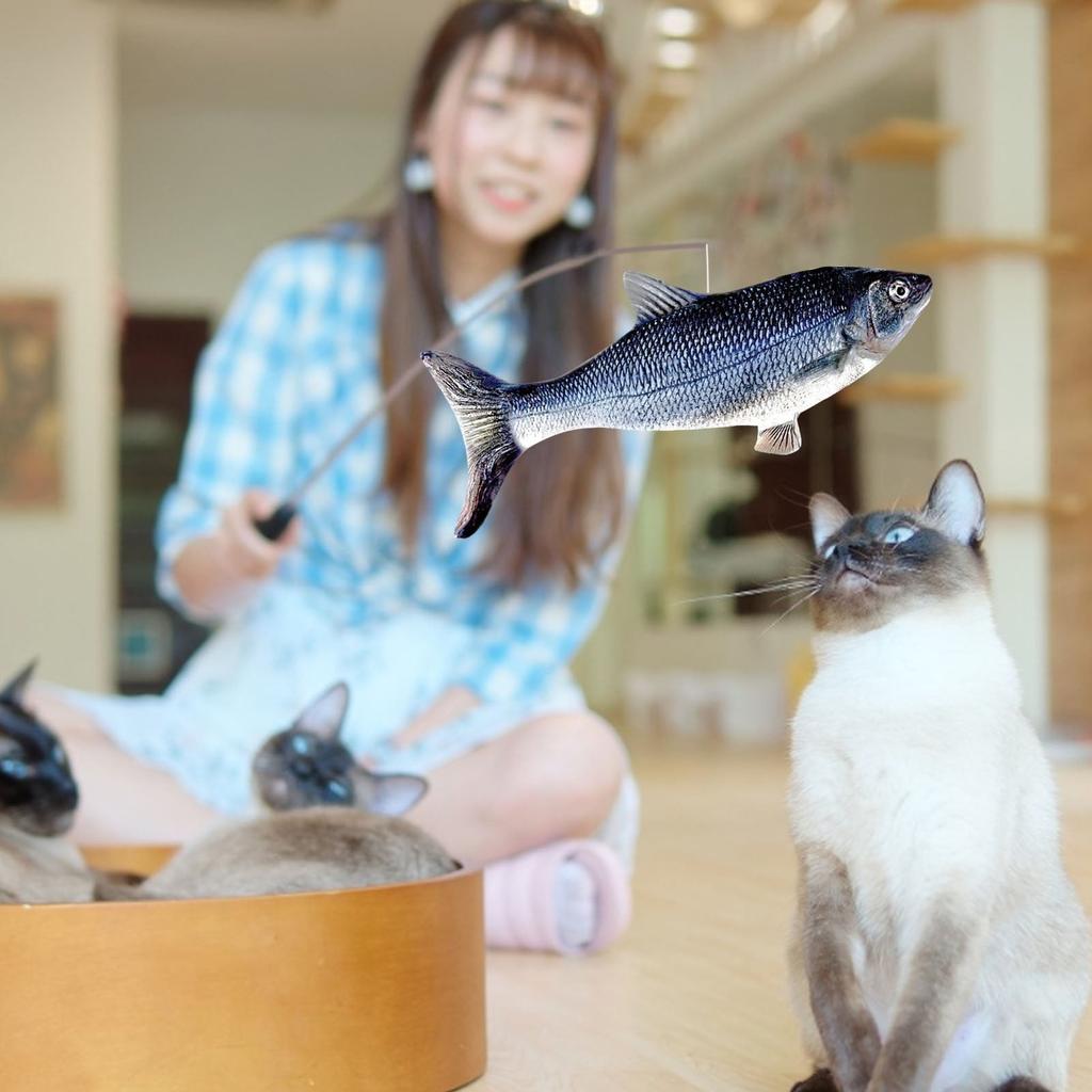 Rechargeable 3D Moving Electric Fish Cat Toy by HitMyNeed