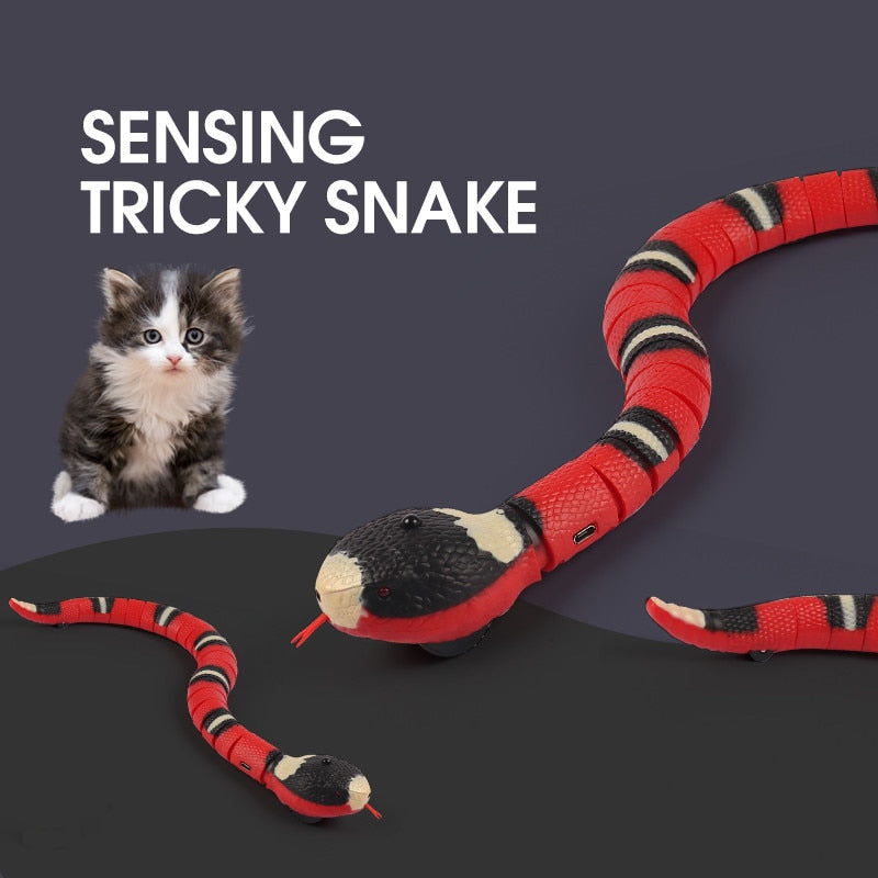 Rechargeable Interactive Snake Cat Toy with Sensor by HitMyNeed