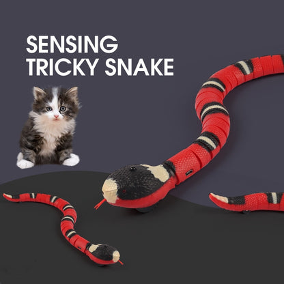 Rechargeable Interactive Snake Cat Toy with Sensor by HitMyNeed
