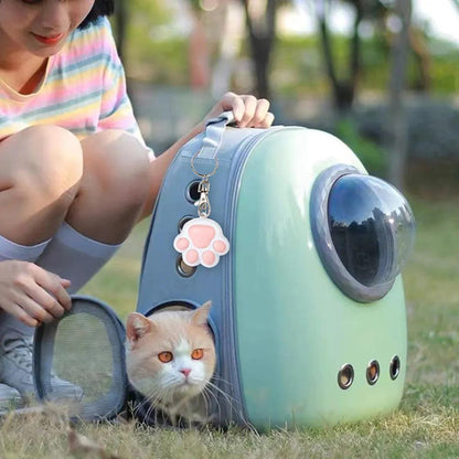 Rechargeable Multifunction Laser Cat Toy with UV Light by HitMyNeed