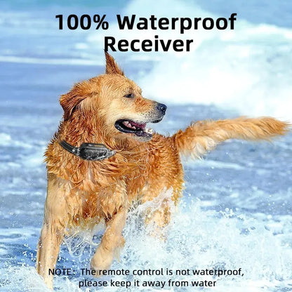 Rechargeable Waterproof Electric Dog Training Collar by HitMyNeed