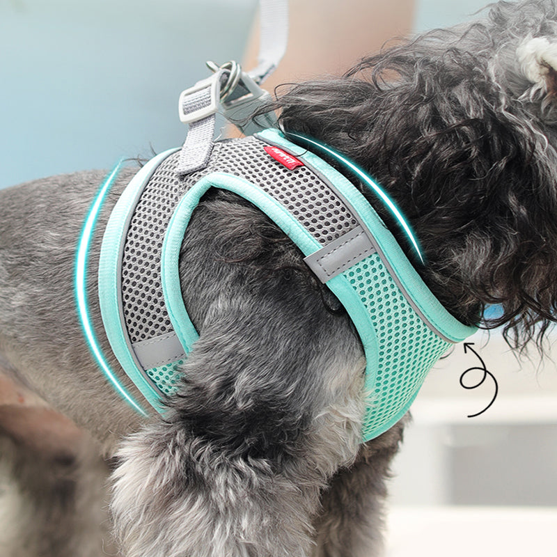 Reflective Breathable Harness Vest with Leash for Small Pets mint-green s-2-5-4kg by HitMyNeed