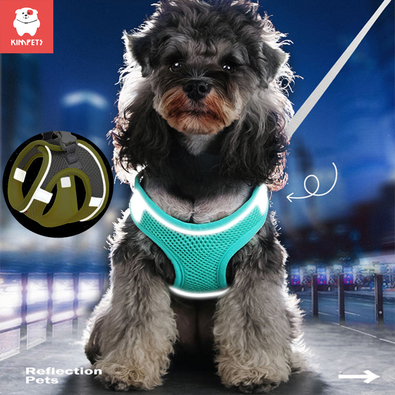 Reflective Breathable Harness Vest with Leash for Small Pets mint-green xs-1-5-2-5kg by HitMyNeed