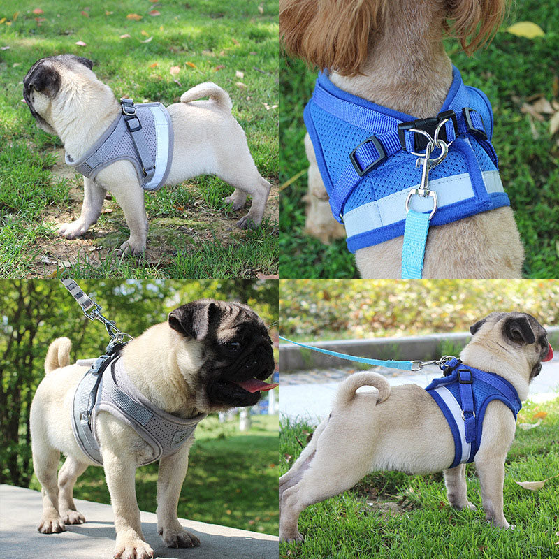 Reflective Dog Harness and Leash Set for Small Pets by HitMyNeed