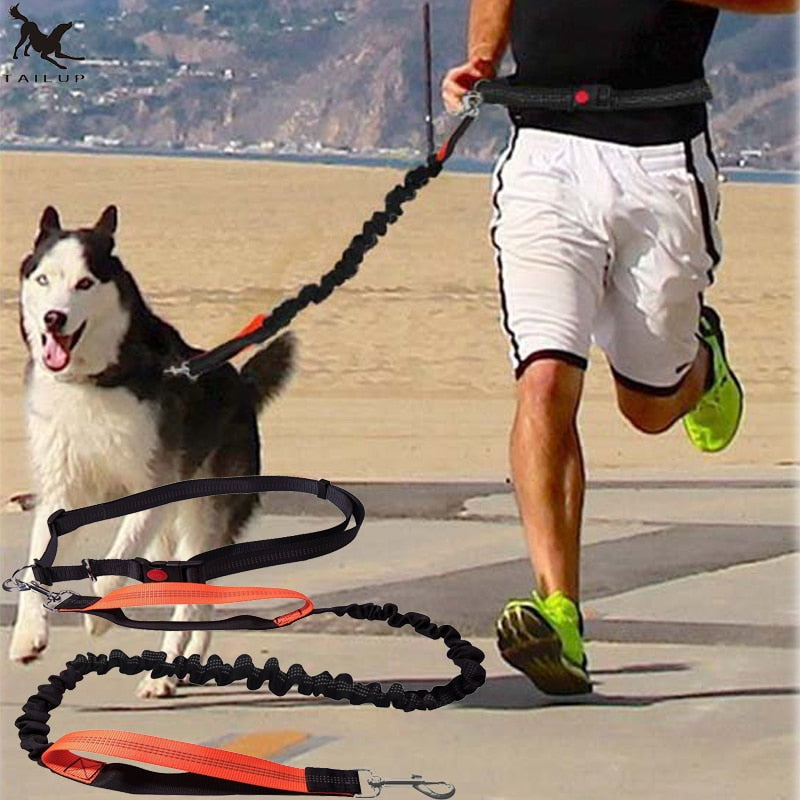 Reflective Hands-Free Dog Jogging Leash Set by HitMyNeed