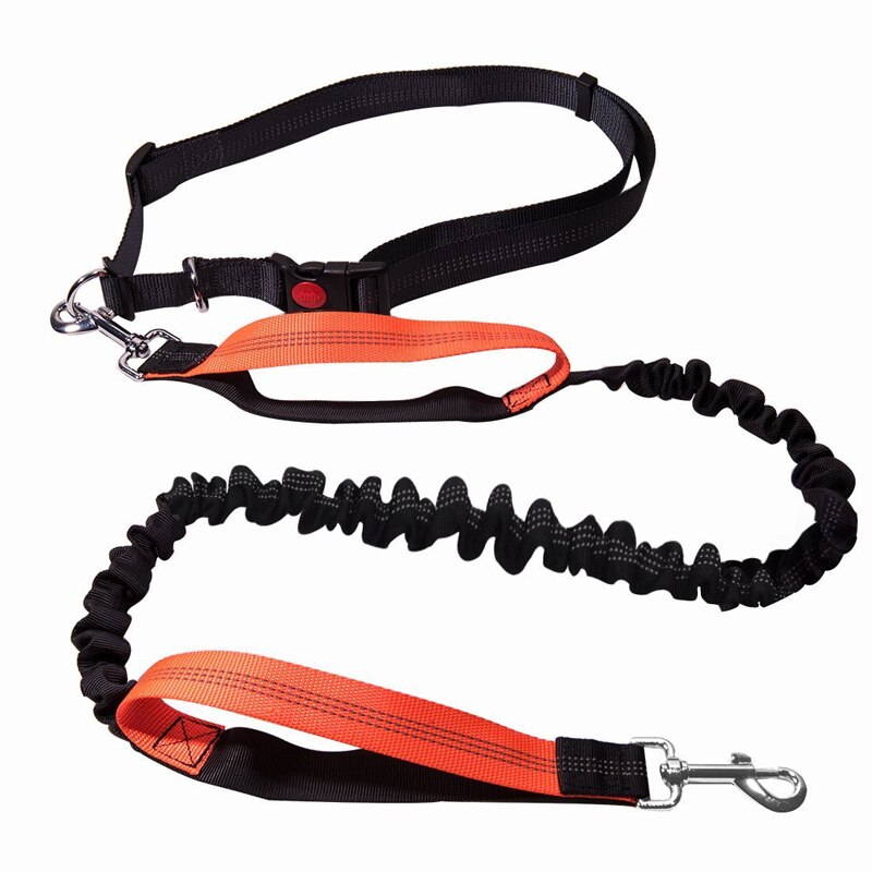 Reflective Hands-Free Dog Jogging Leash Set by HitMyNeed