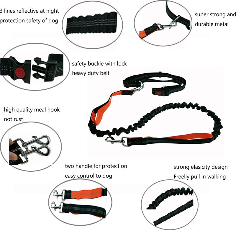 Reflective Hands-Free Dog Jogging Leash Set by HitMyNeed