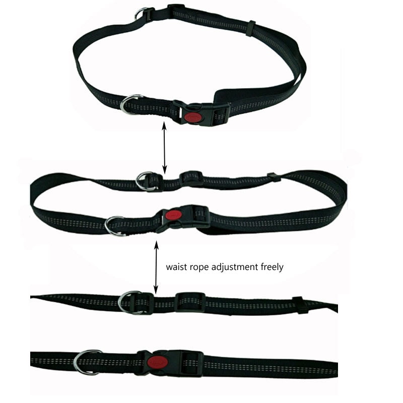 Reflective Hands-Free Dog Jogging Leash Set by HitMyNeed