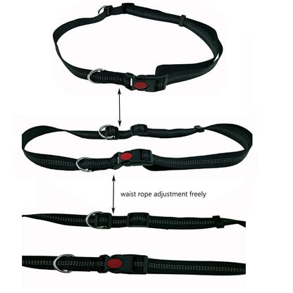 Reflective Hands-Free Dog Jogging Leash Set by HitMyNeed