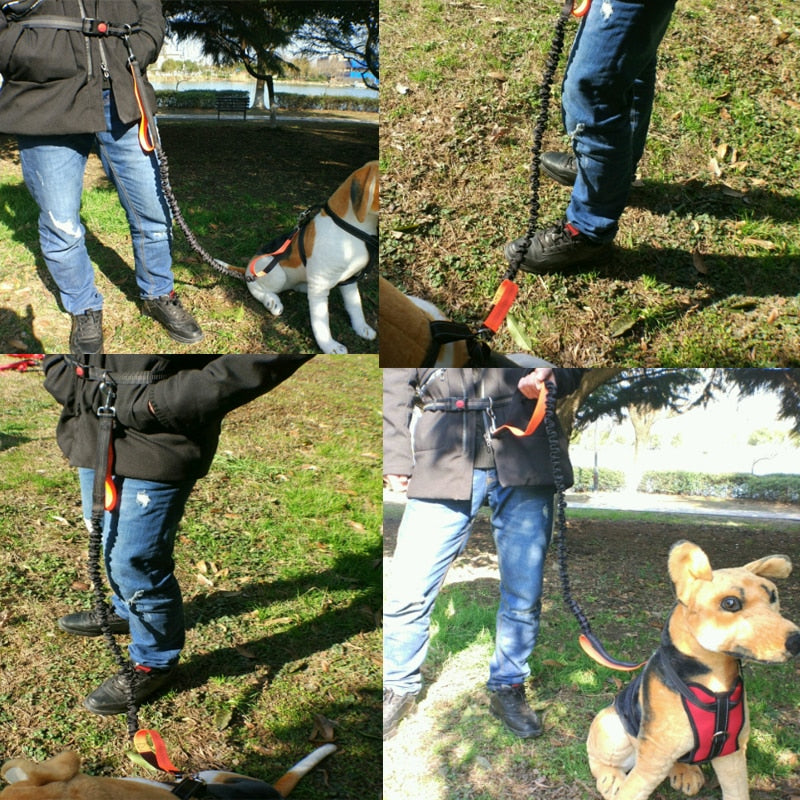 Reflective Hands-Free Dog Jogging Leash Set by HitMyNeed
