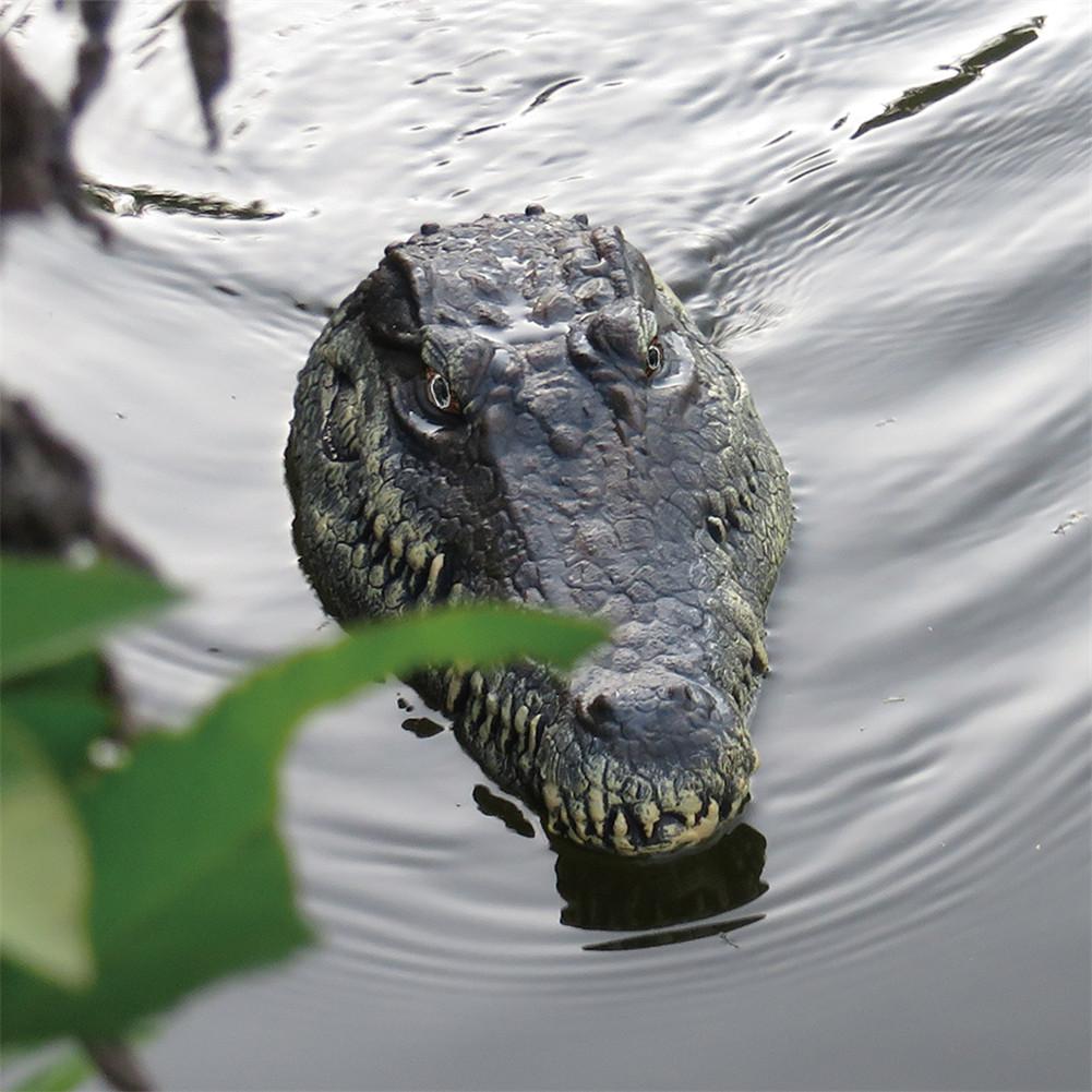 Remote Control Alligator Head Water Toy 2.4GHz by HitMyNeed