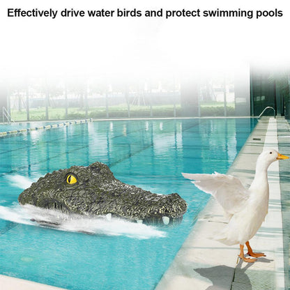 Remote Control Alligator Head Water Toy 2.4GHz by HitMyNeed