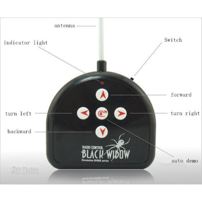 Remote Control Prank Spider Toy with Lights by HitMyNeed