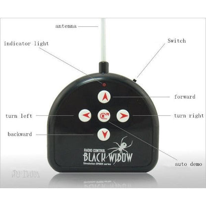 Remote Control Tarantula Prank Toy with LED Eyes by HitMyNeed