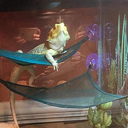 Reptile Hammock Lounger Ladder Set (2 Pack) by HitMyNeed
