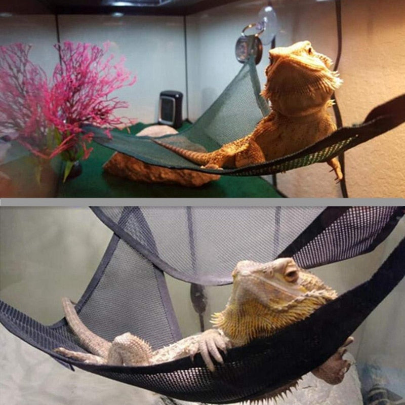 Reptile Hammock Lounger Ladder Set (2 Pack) by HitMyNeed