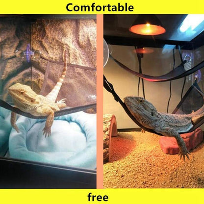 Reptile Hammock Lounger Ladder Set (2 Pack) by HitMyNeed