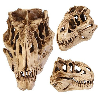 Resin Fossil Dinosaur Skull Desk and Home Decor by HitMyNeed