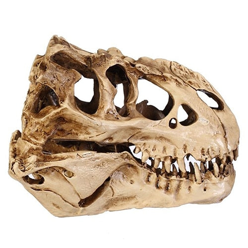 Resin Fossil Dinosaur Skull Desk and Home Decor by HitMyNeed