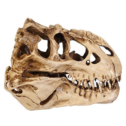 Resin Fossil Dinosaur Skull Desk and Home Decor by HitMyNeed