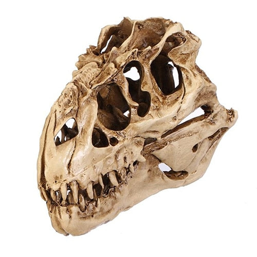 Resin Fossil Dinosaur Skull Desk and Home Decor by HitMyNeed