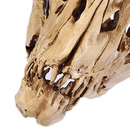 Resin Fossil Dinosaur Skull Desk and Home Decor by HitMyNeed