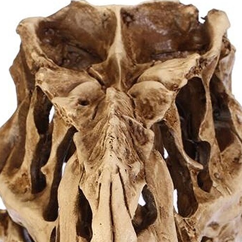 Resin Fossil Dinosaur Skull Desk and Home Decor by HitMyNeed