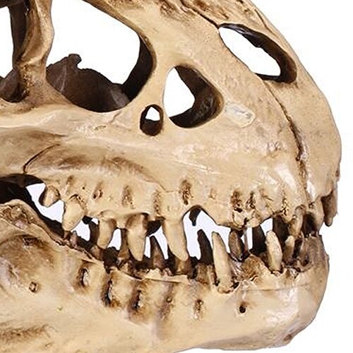Resin Fossil Dinosaur Skull Desk and Home Decor by HitMyNeed
