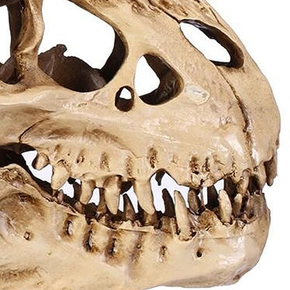 Resin Fossil Dinosaur Skull Desk and Home Decor by HitMyNeed