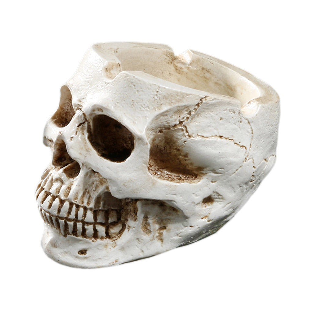 Resin Human Skull Ashtray with Deep Bowl Design by HitMyNeed