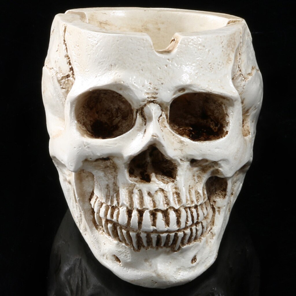 Resin Human Skull Ashtray with Deep Bowl Design by HitMyNeed