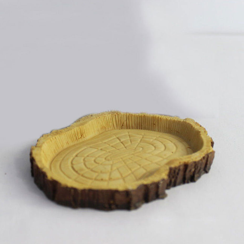 Resin Reptile Feeding Bowl for Insects & Worms by HitMyNeed