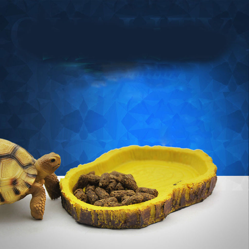 Resin Reptile Feeding Bowl for Insects & Worms by HitMyNeed