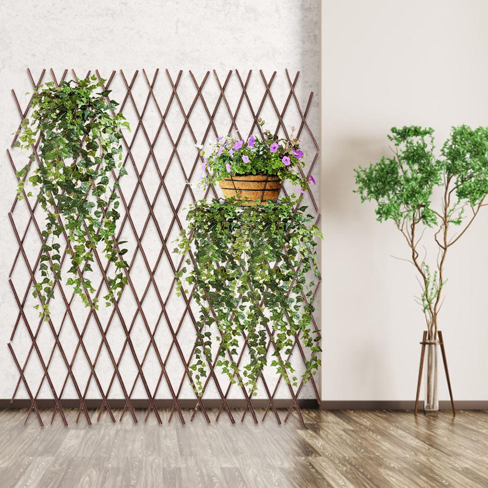 Retractable Wooden Trellis for Climbing Plants by HitMyNeed