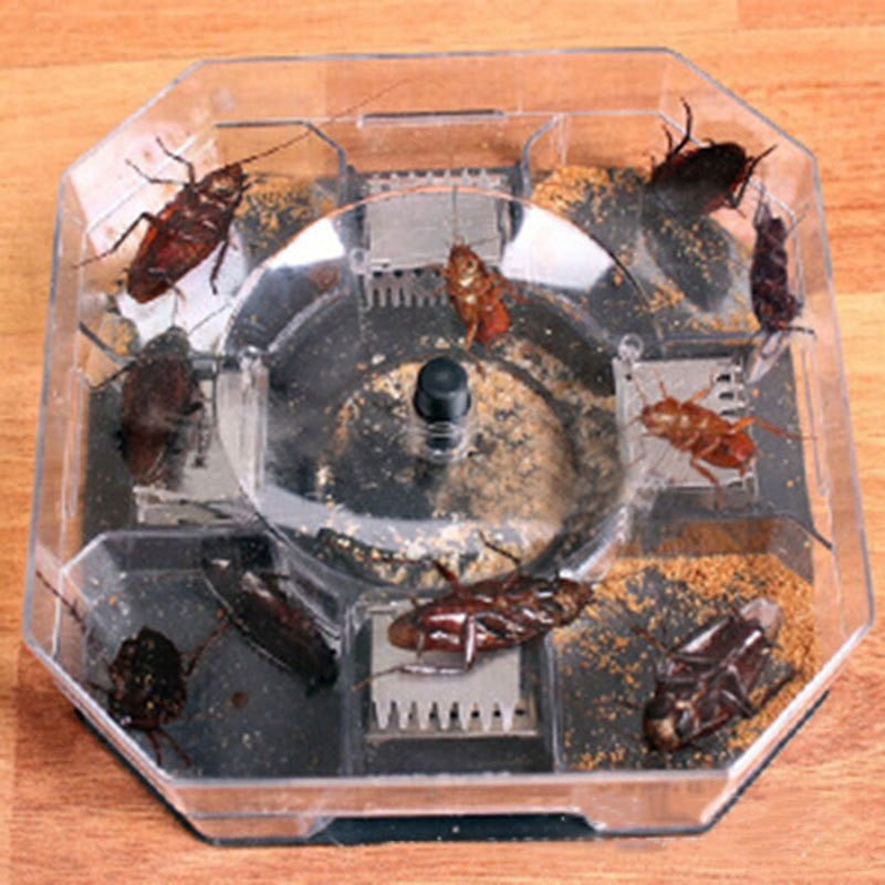 Reusable Cockroach Trap Non-Toxic Pest Catcher by HitMyNeed