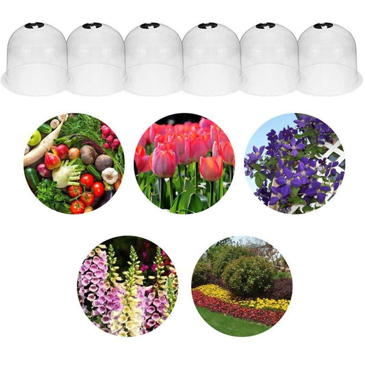 Reusable Garden Cloche Plant Domes Set of 6 by HitMyNeed