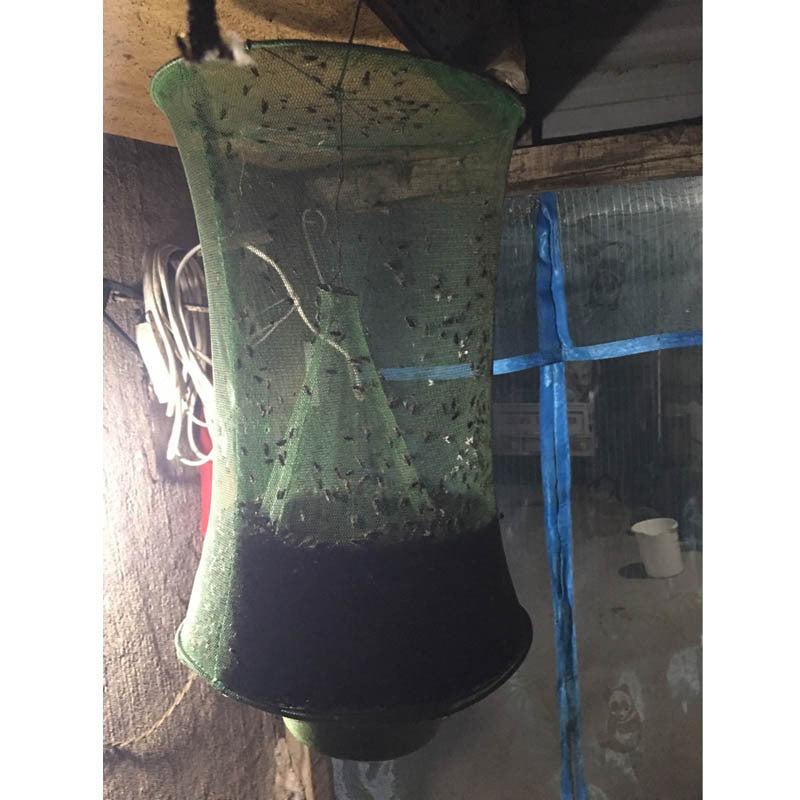 Reusable Hanging House Fly Trap Net by HitMyNeed