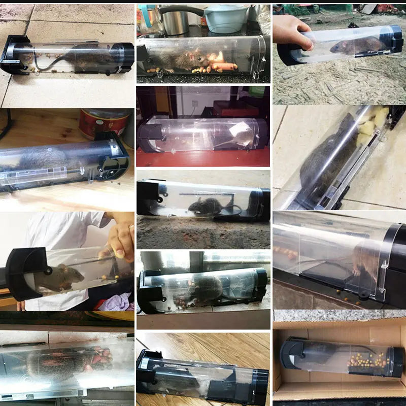 Reusable Plastic Humane Rat & Mouse Trap Cage by HitMyNeed