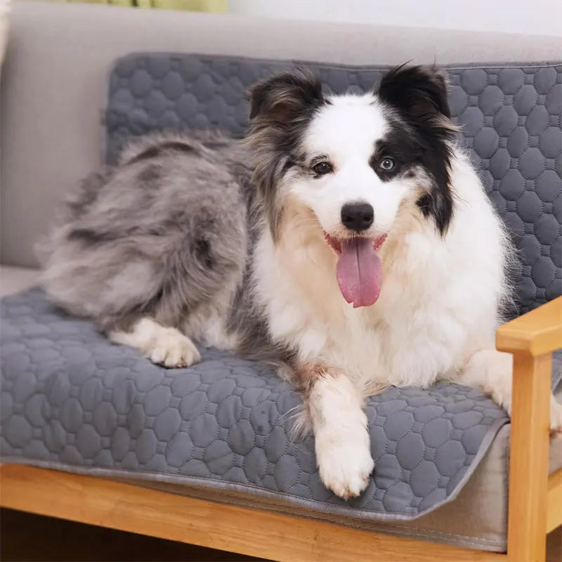 Reusable Waterproof Dog Pee Pad for Home & Car by HitMyNeed