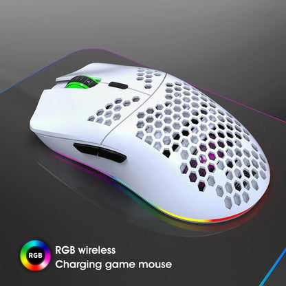 RGB 2.4G Wireless Gaming Mouse with Adjustable DPI by HitMyNeed