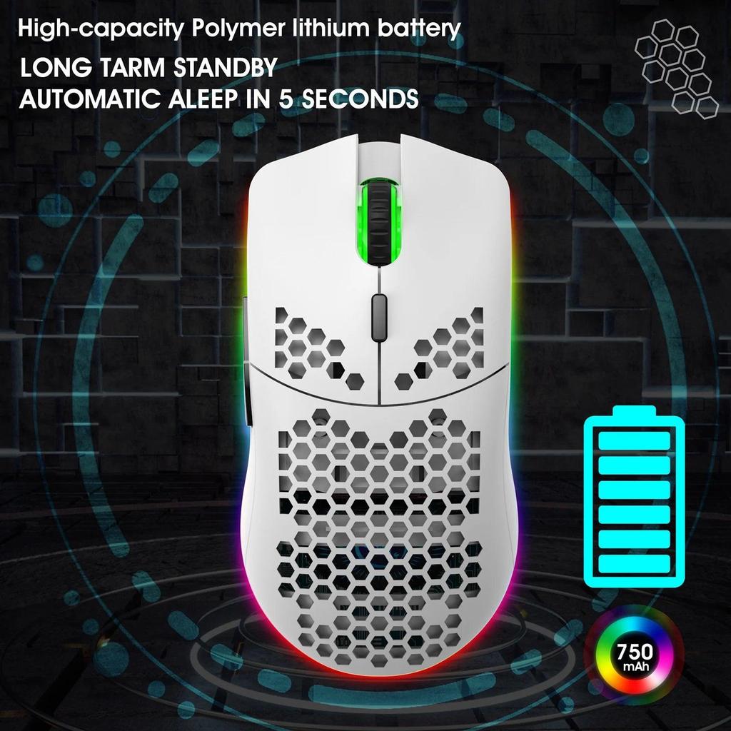 RGB 2.4G Wireless Gaming Mouse with Adjustable DPI by HitMyNeed