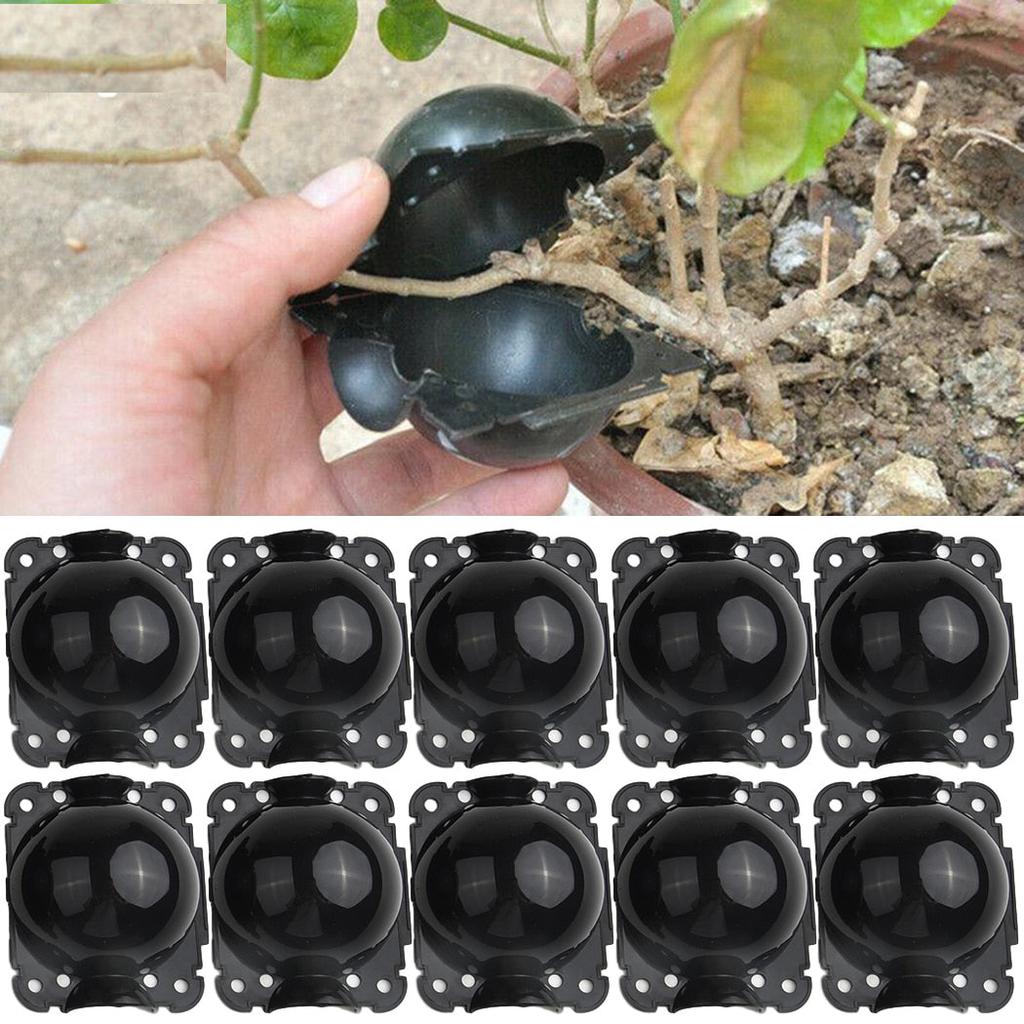 Rooting Plant Propagation Balls, 5cm (Pack of 10) by HitMyNeed