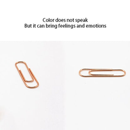 Rose Gold Paper Clip Holder with 100 Clips by HitMyNeed