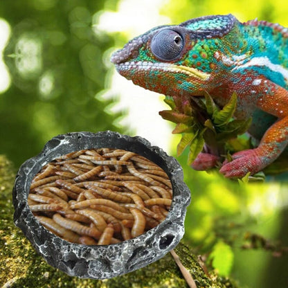 Round Resin Reptile Food Bowl 8cm by HitMyNeed