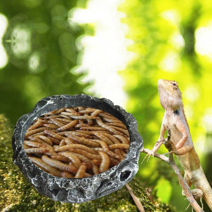 Round Resin Reptile Food Bowl 8cm by HitMyNeed