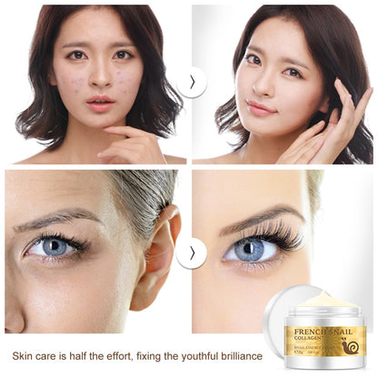 Scar Removal Collagen Face Cream 25g by HitMyNeed