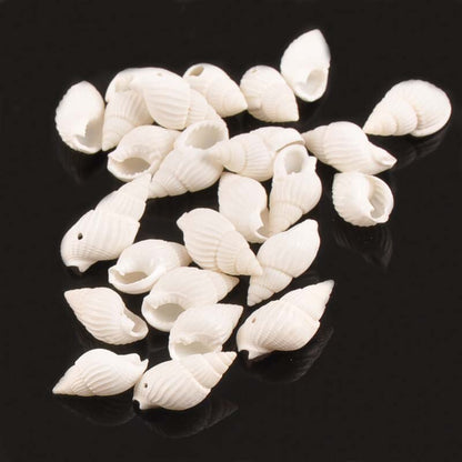 Seashell Beads DIY Set 50pcs for Jewelry Making by HitMyNeed
