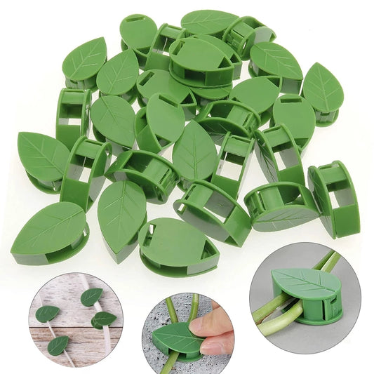 Self Adhesive Plant Clips for Climbing Plants (50pcs) by HitMyNeed