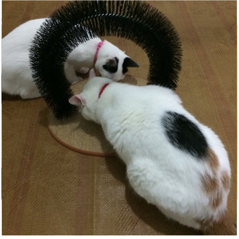 Self-Grooming Cat Arch Fur Brush with Base by HitMyNeed