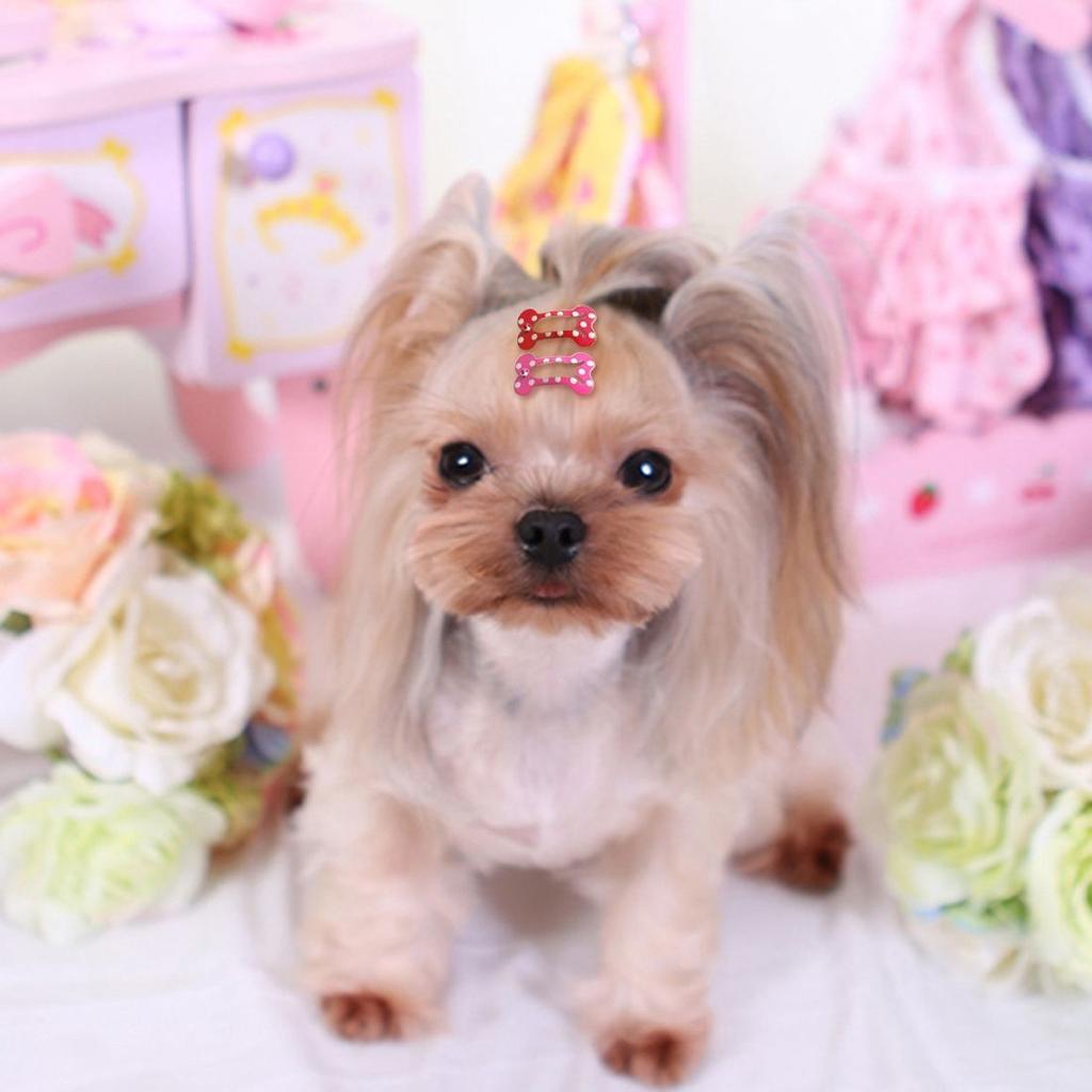 Shih Tzu Bone Design Hair Clips Set (5 pcs) by HitMyNeed